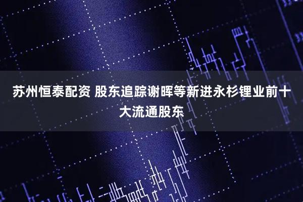 苏州恒泰配资 股东追踪谢晖等新进永杉锂业前十大流通股东
