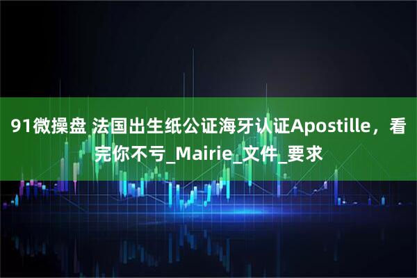91微操盘 法国出生纸公证海牙认证Apostille，看完你不亏_Mairie_文件_要求