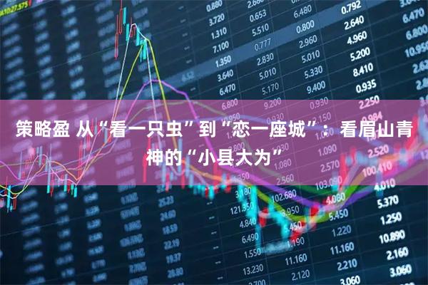 策略盈 从“看一只虫”到“恋一座城”：看眉山青神的“小县大为”