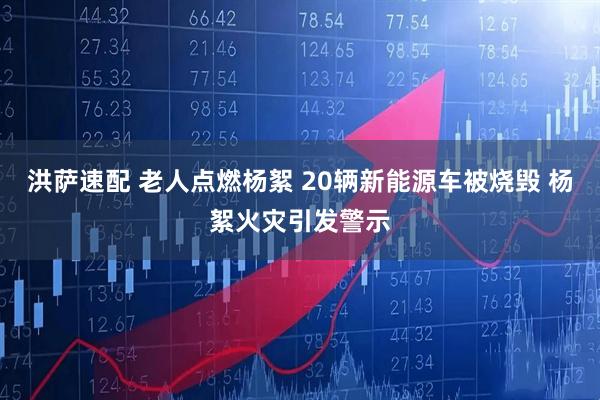 洪萨速配 老人点燃杨絮 20辆新能源车被烧毁 杨絮火灾引发警示