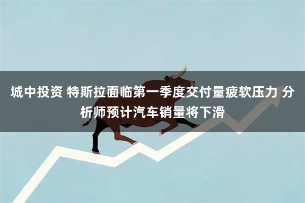 城中投资 特斯拉面临第一季度交付量疲软压力 分析师预计汽车销量将下滑
