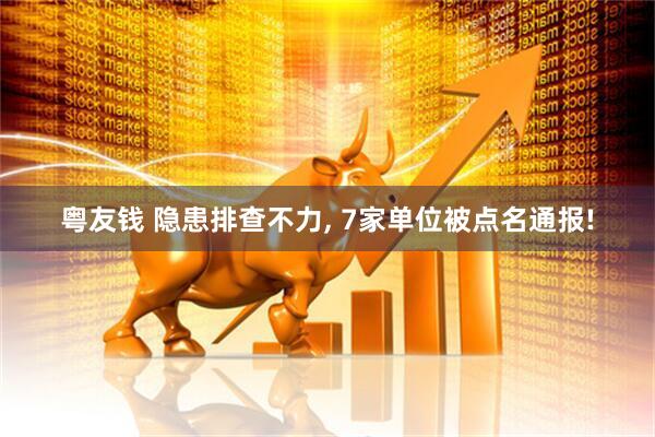 粤友钱 隐患排查不力, 7家单位被点名通报!