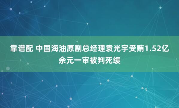 靠谱配 中国海油原副总经理袁光宇受贿1.52亿余元一审被判死缓
